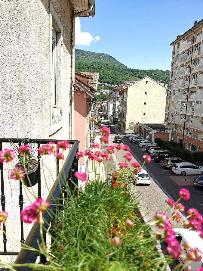 Le Petit Angle Appartement 2 Pieces, Plein Centre Ville, Pres De La Gare Jusqu'A 4 Personnes Бельгард-сюр-Валзерин Экстерьер фото
